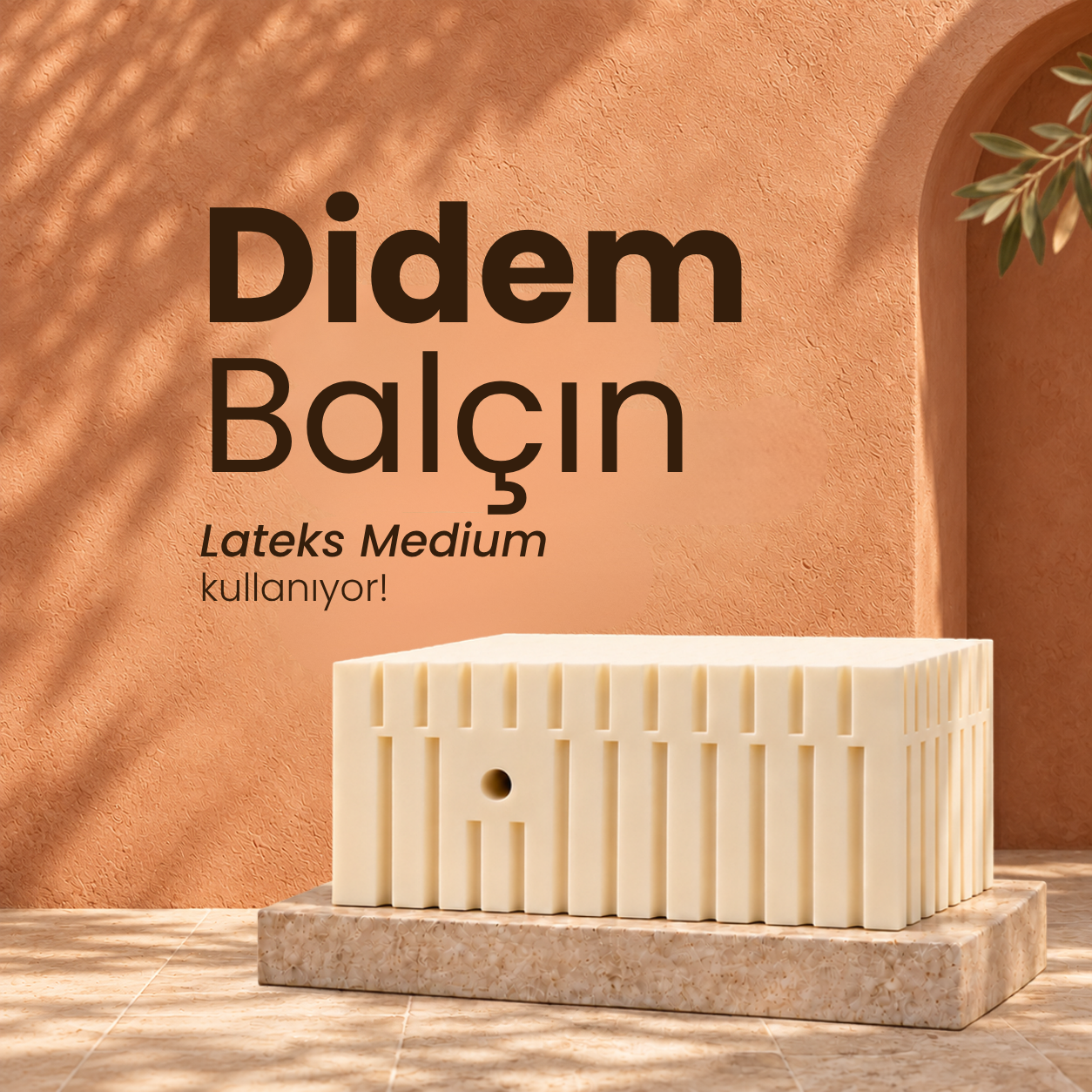 Didem Balçın